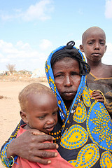 Nearly half a million refugees have sought safety in Kenya Nearly half a million refugees have sought safety in Kenya