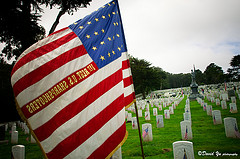 Unlike Veterans Day, which honors all soldiers, Memorial Day honors those who died in service of their country (Courtesy David Yu)