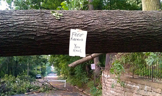 Residents offer a creative strategy for clearing a fallen tree which brought down power lines and still blocks a road in Falls Church, VA. (Courtesy Creative Commons/ Cizauskas Residents offer a creative strategy for clearing a fallen tree which brought down power lines and still blocks a road in Falls Church, VA. (Courtesy Creative Commons/ Cizauskas