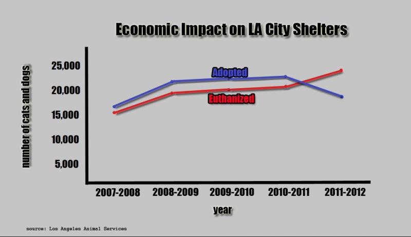 Rates over the last several years. (Graph by Kiran Kazalbash)