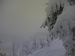 Stevens Pass (Courtesy of Creative Commons)