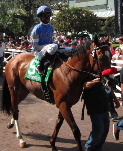Kevin Krigger and Goldencents before the Santa Anita Derby. (Alex Norwick/Neon Tommy)