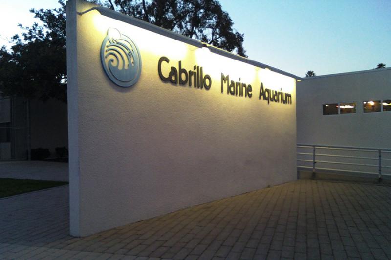 The Cabrillo Marine Aquarium has been hosting grunion events for the public since 1951. (Danny Lee/Neon Tommy)