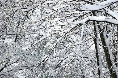 Traveling in Mid-Atlantic regions near Philadelphia and Washington could be difficult on Monday. (Sami'/Creative Commons) Traveling in Mid-Atlantic regions near Philadelphia and Washington could be difficult on Monday. (Sami'/Creative Commons)