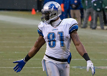 Calvin Johnson (Creative Commons)