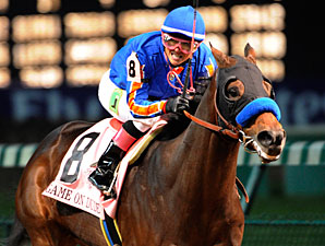 Game On Dude has now passed $5 million in earnings. (Wikimedia Commons)