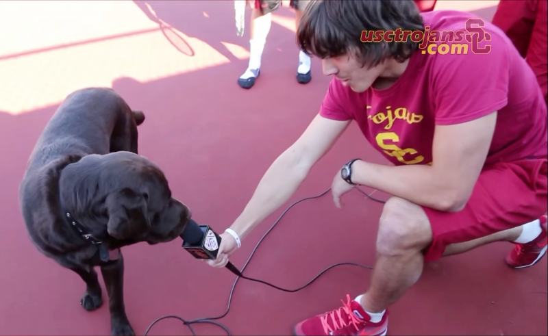 Meet Floyd, the real star of the men's tennis team. Meet Floyd, the real star of the men's tennis team.