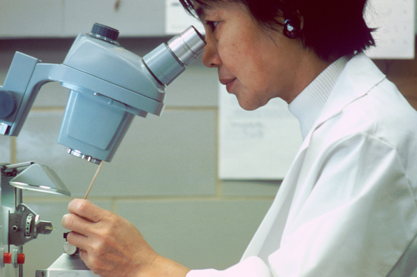 Georgetown University researchers claim they have found a way to predict the onset of Alzheimer's disease. (Image via Wikimedia Commons) Georgetown University researchers claim they have found a way to predict the onset of Alzheimer's disease. (Image via Wikimedia Commons)