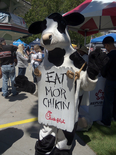 Those opposing gay marriage and rights visited Chick-fil-A on Wednesday. (CloteeAllochuku/Flickr) Those opposing gay marriage and rights visited Chick-fil-A on Wednesday. (CloteeAllochuku/Flickr)