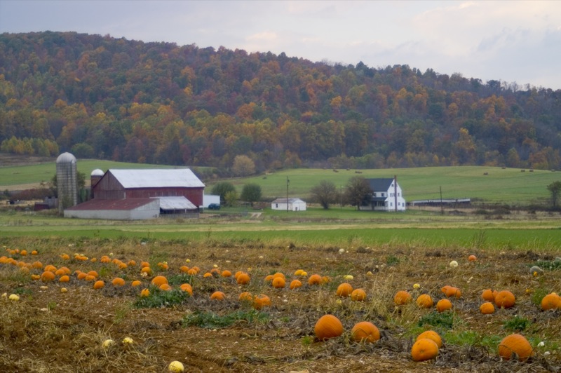 This is one step forward farms and hopefully one leap for the budget.