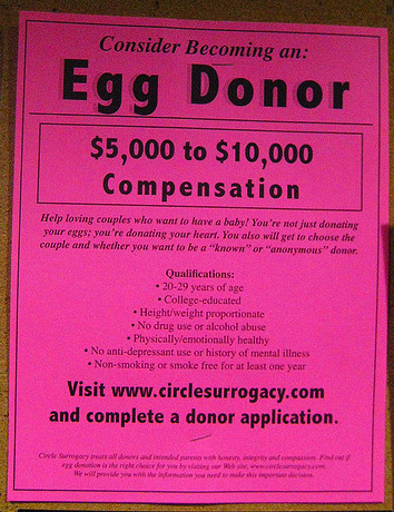College students embrace egg donation to pay off college expenses (Creative Commons/Flickr) College students embrace egg donation to pay off college expenses (Creative Commons/Flickr)