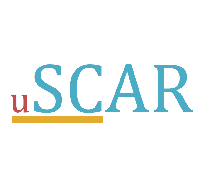 USC SCAR's priority is the support of those who have experienced sexual violence. (USC SCAR)