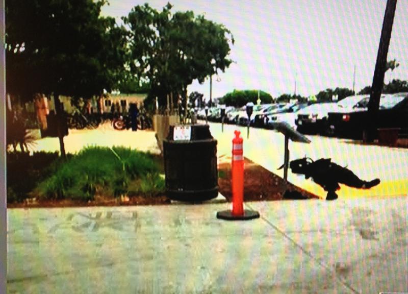 (KTLA Screen shot of the gunman reportedly killed/ Photo courtesy of Lindsay Cigler (KTLA Screen shot of the gunman reportedly killed/ Photo courtesy of Lindsay Cigler