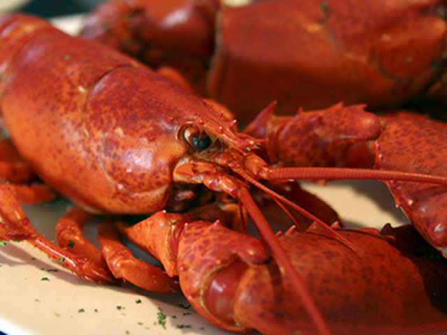 Delicious lobster meals will be one of the highlights at the Lobster Fest (rubicat / Creative Commons).