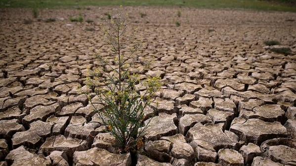 Jerry Brown doesn't want California to look like this. (@_naturescience/Twitter)