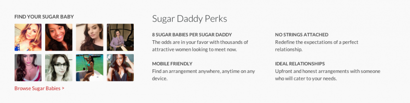 Some of the "perks" of being a Sugar Daddy as listed on SeekingArrangement.com (Screengrab)