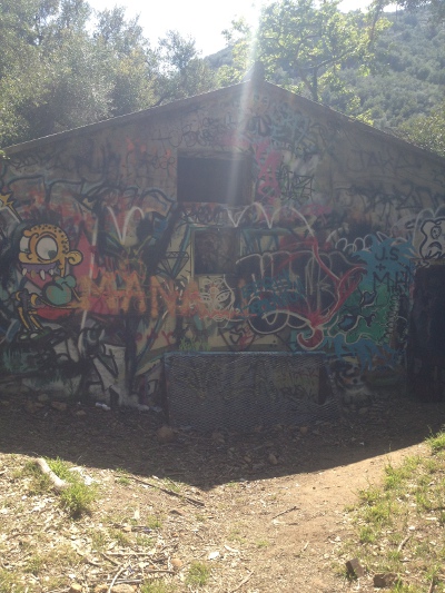 Back of the bunker (Danielle Tarasiuk).